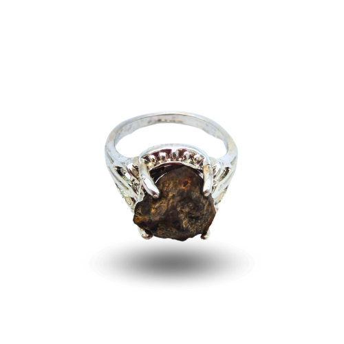 Bague chondrite acier nwa xxx