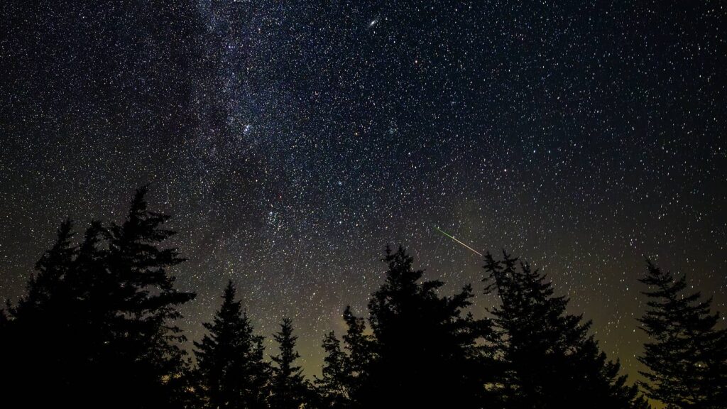 Étoile filante traversant un ciel étoilé au-dessus d'une forêt de conifères