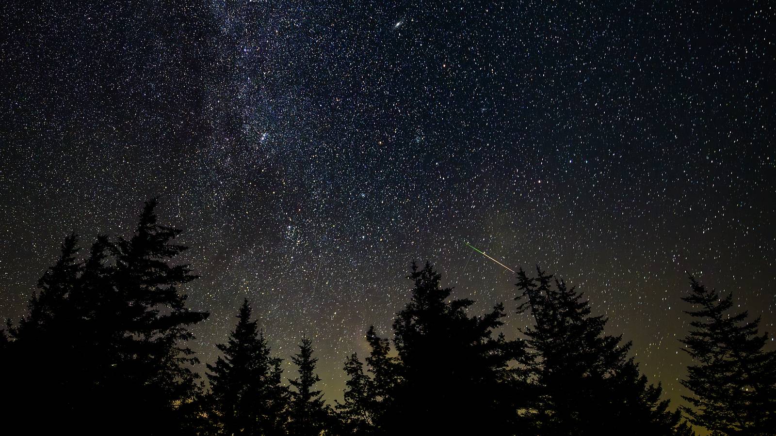 Étoile filante traversant un ciel étoilé au-dessus d'une forêt de conifères