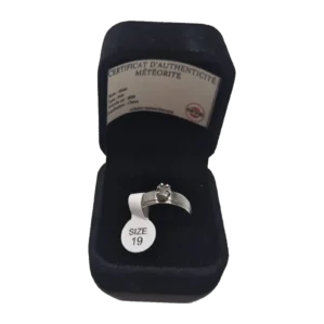 Bague argentée sertie griffes – météorite Aletai, taille 19