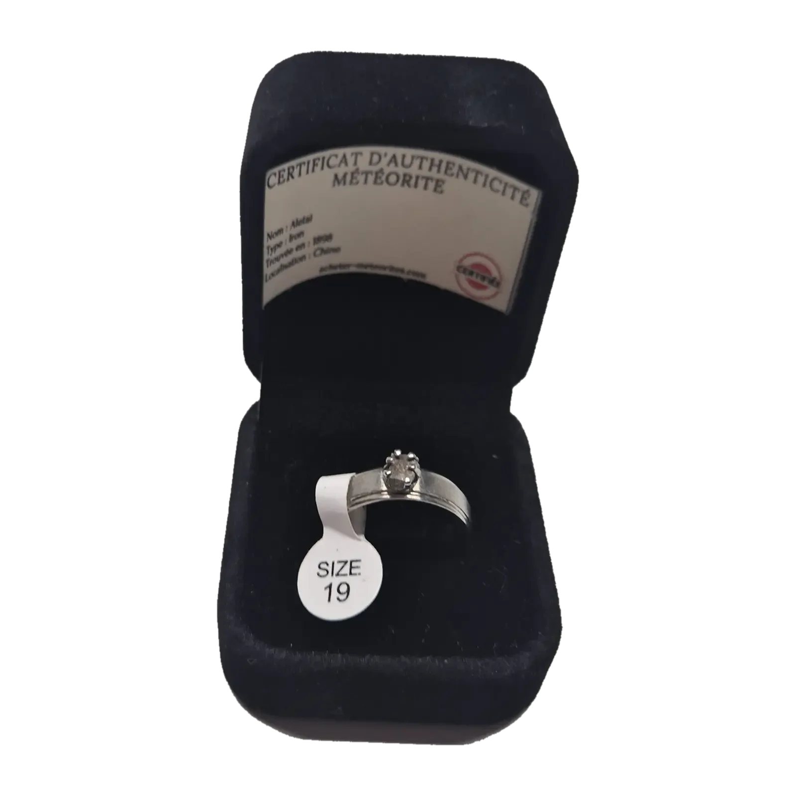 Bague argentée sertie griffes – météorite Aletai, taille 19