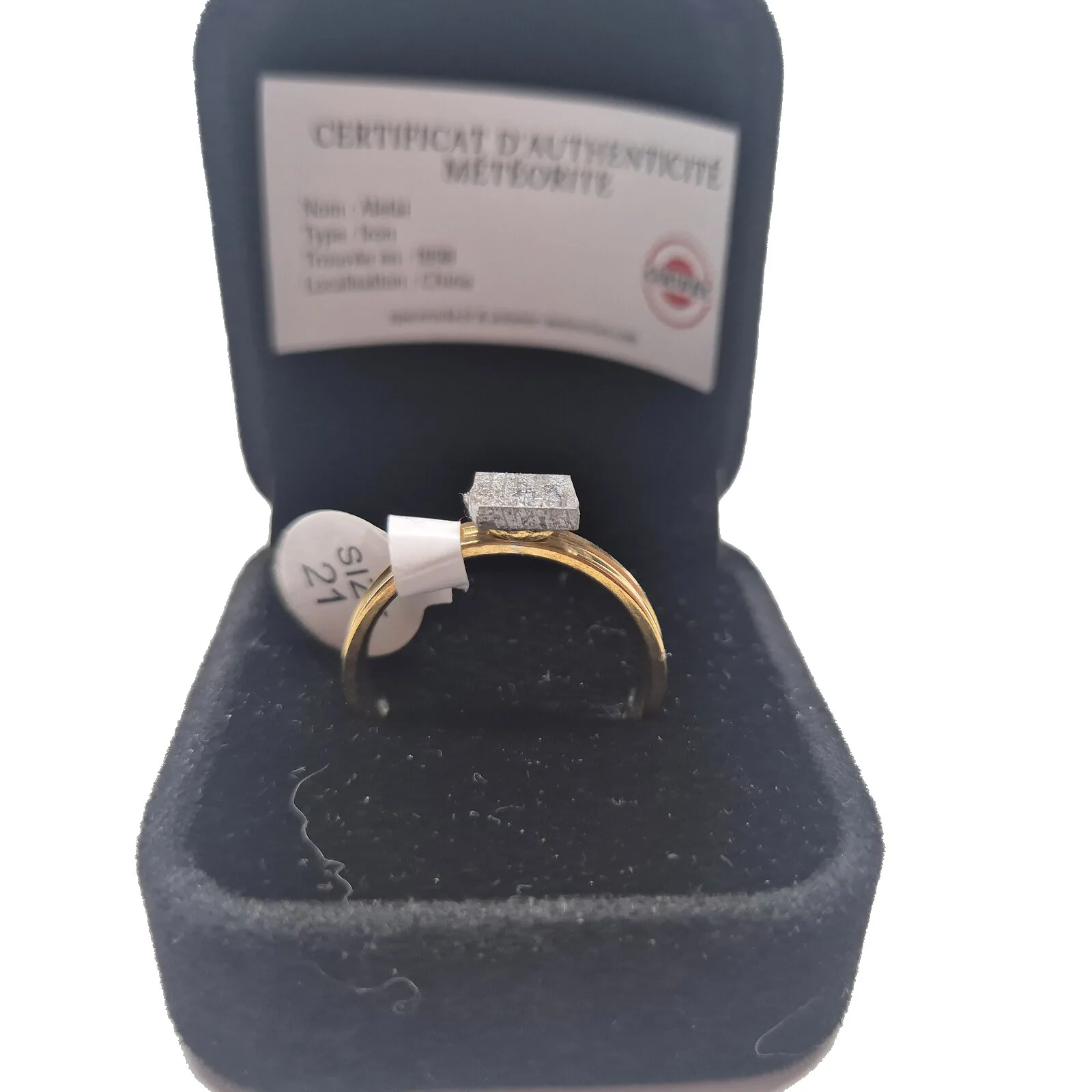 Bague dorée plaque carrée – météorite Aletai, taille 21 – vue 3