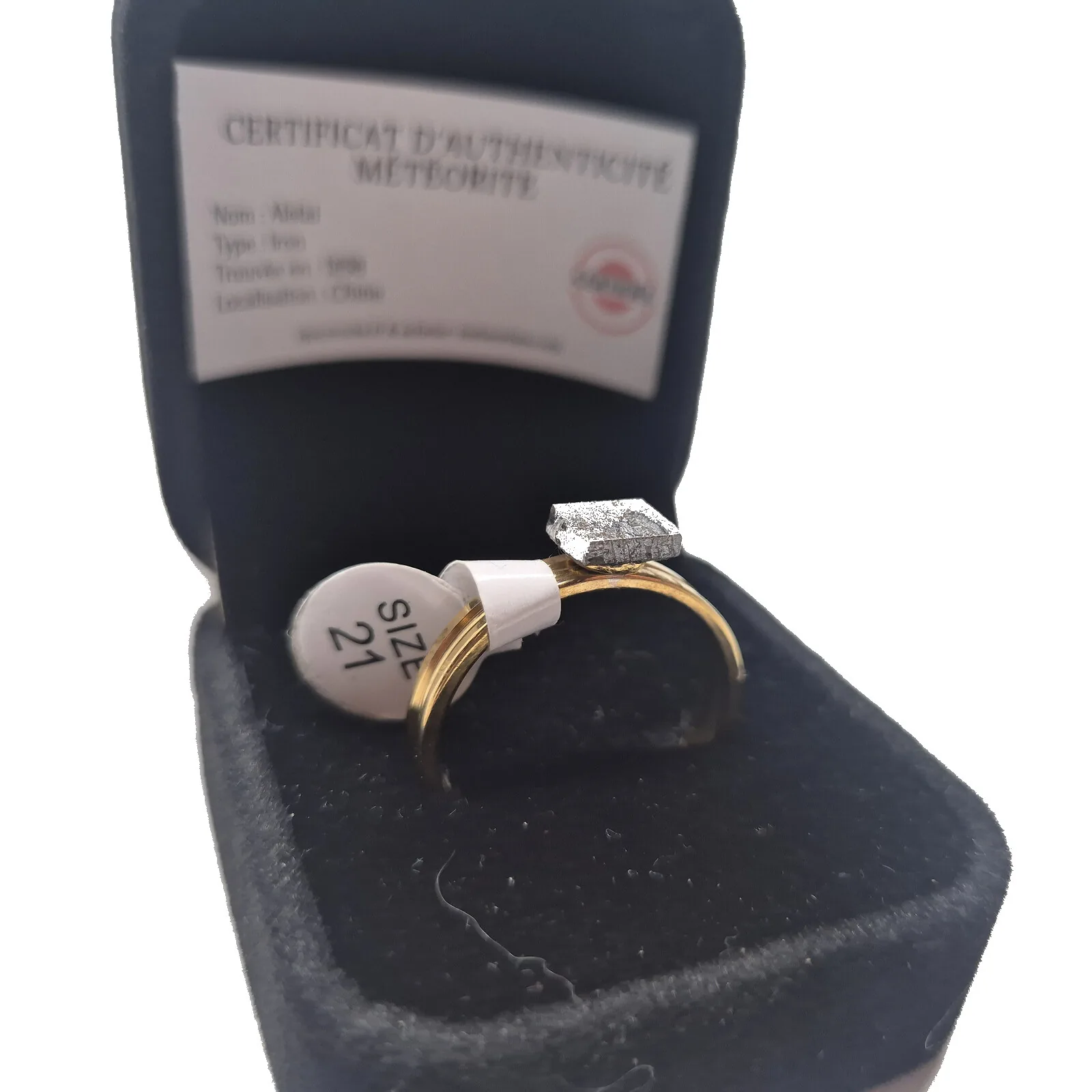 Bague dorée plaque carrée – météorite Aletai, taille 21 – vue 6