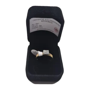 Bague dorée plaque carrée – météorite Aletai, taille 21