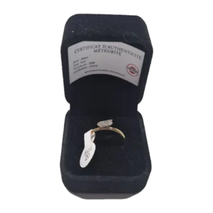 Bague dorée plaque ovale – météorite Aletai, taille 20