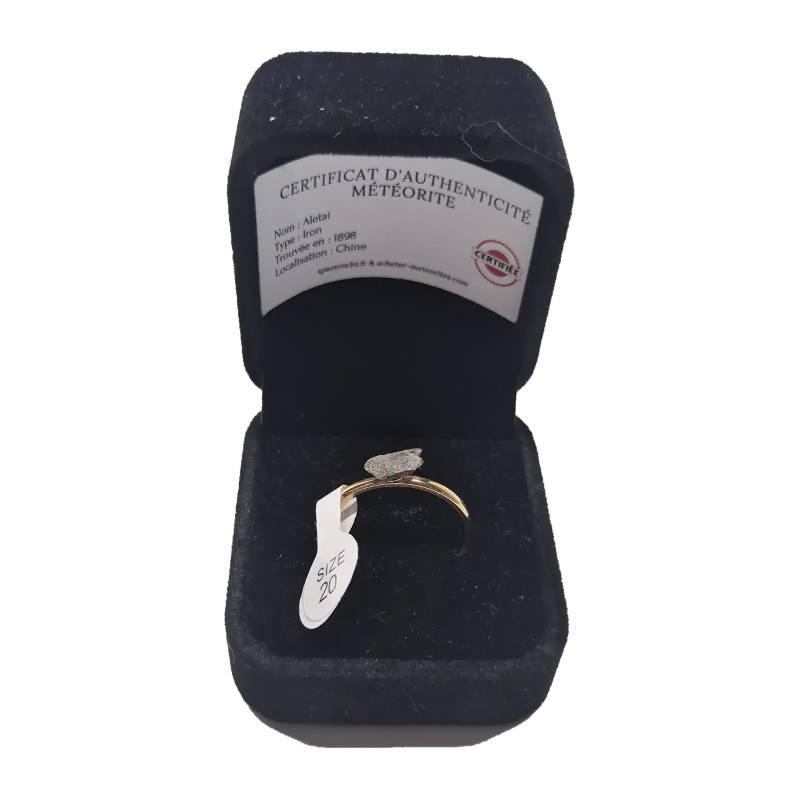 Bague dorée plaque ovale – météorite Aletai, taille 20