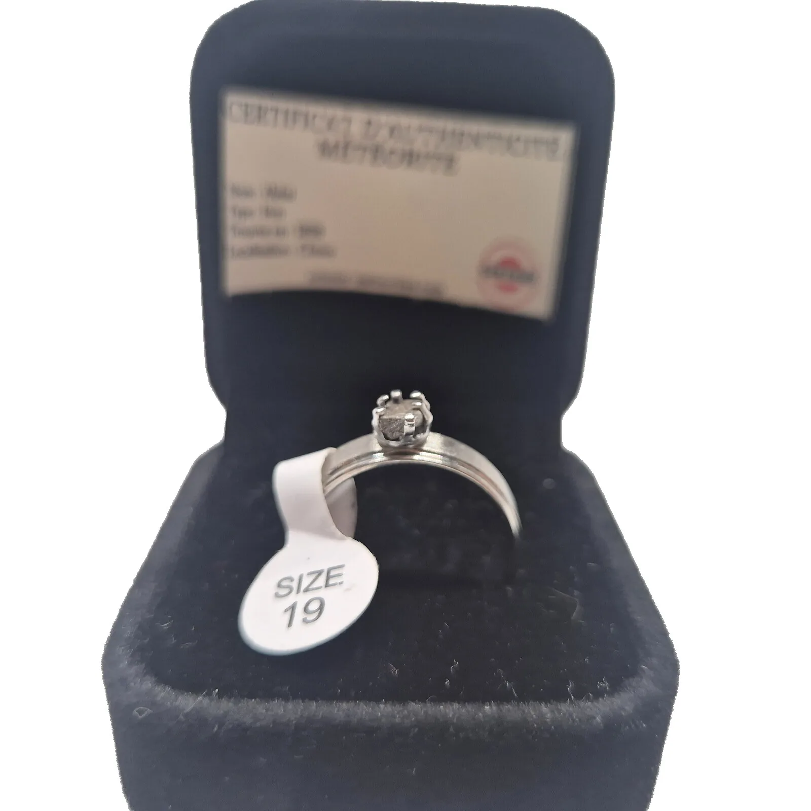 Bague argentée sertie griffes – météorite Aletai, taille 19 – vue 2