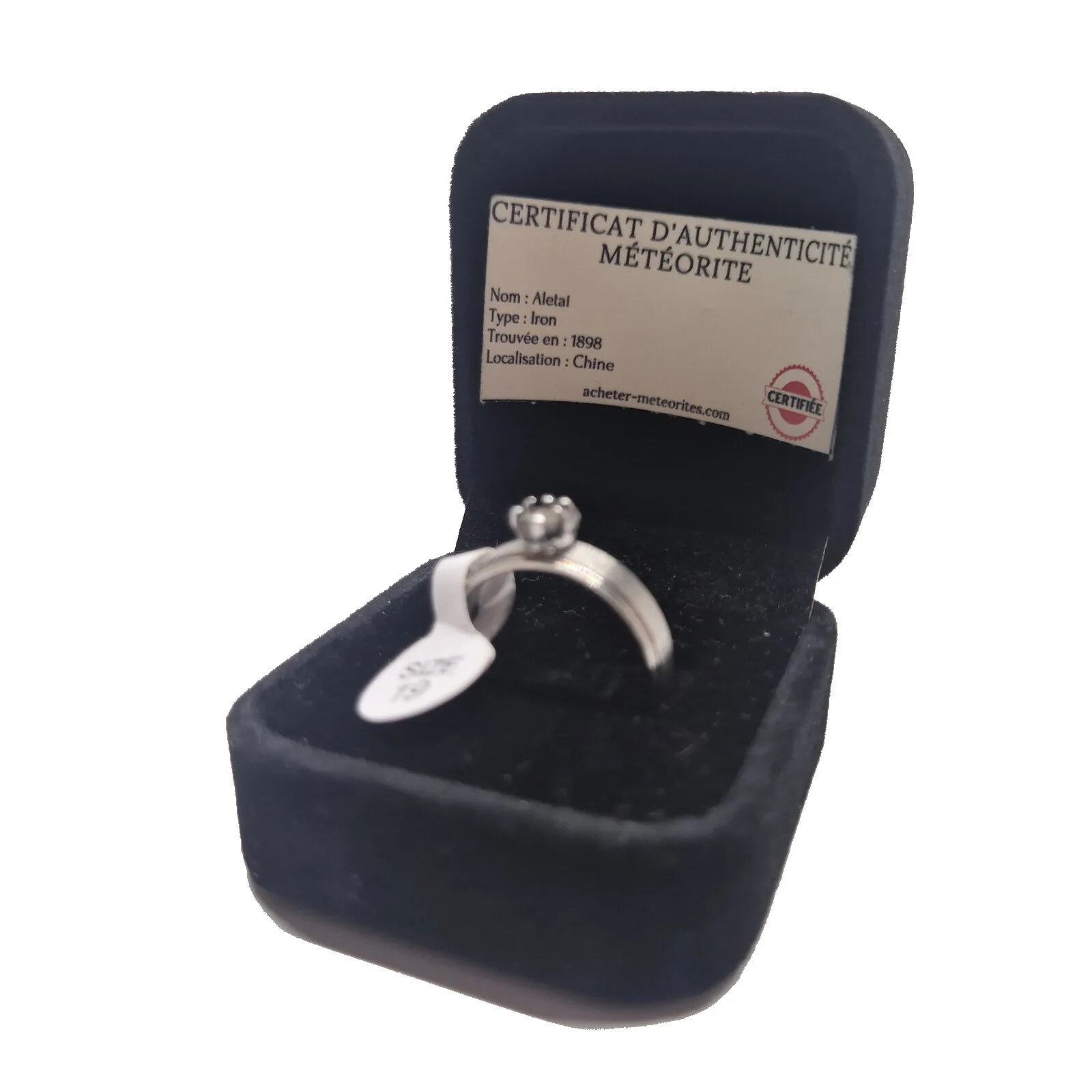 Bague argentée sertie griffes – météorite Aletai, taille 19 – vue 3