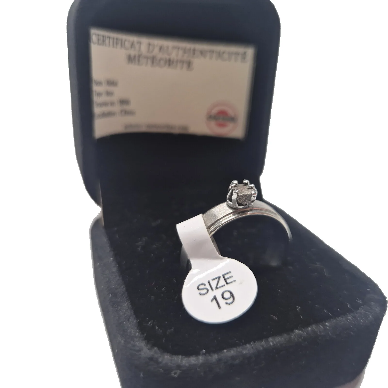 Bague argentée sertie griffes – météorite Aletai, taille 19 – vue 4