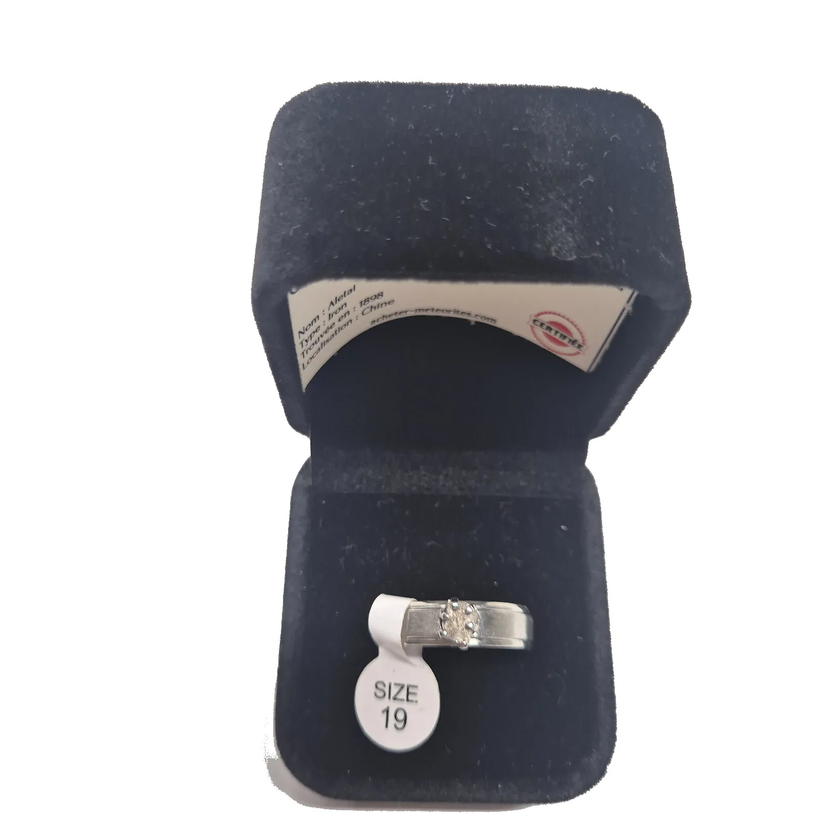 Bague argentée sertie griffes – météorite Aletai, taille 19 – vue 5