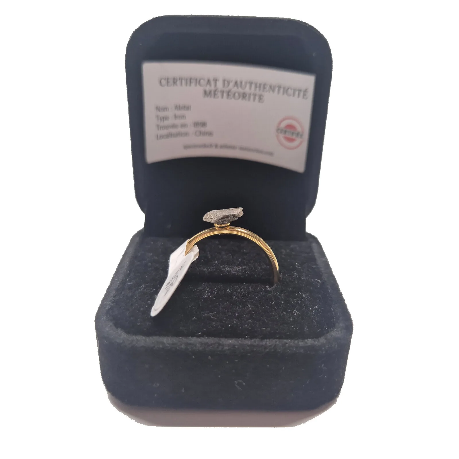 Bague dorée plaque ovale – météorite Aletai, taille 20 – vue 3