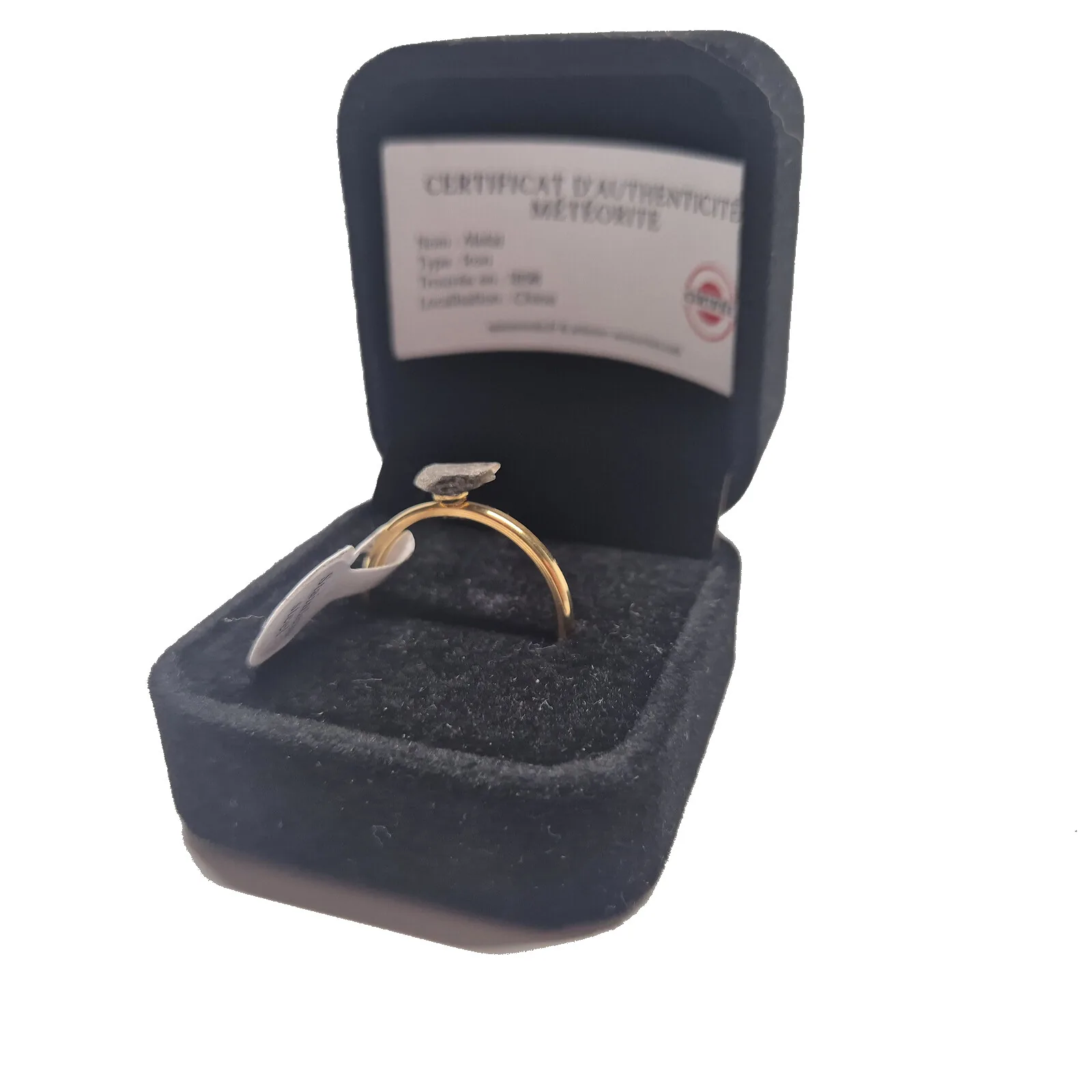 Bague dorée plaque ovale – météorite Aletai, taille 20 – vue 4