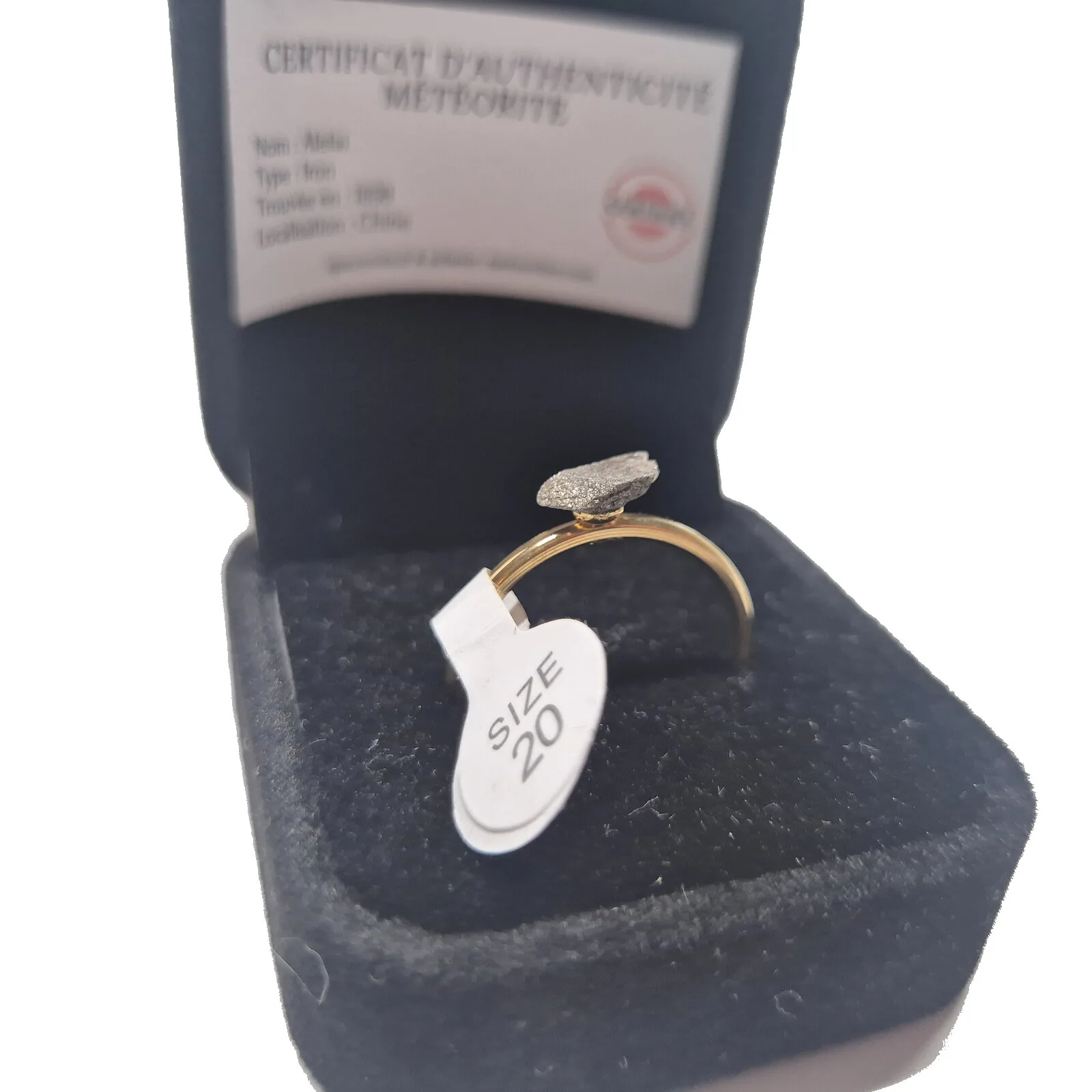 Bague dorée plaque ovale – météorite Aletai, taille 20 – vue 5