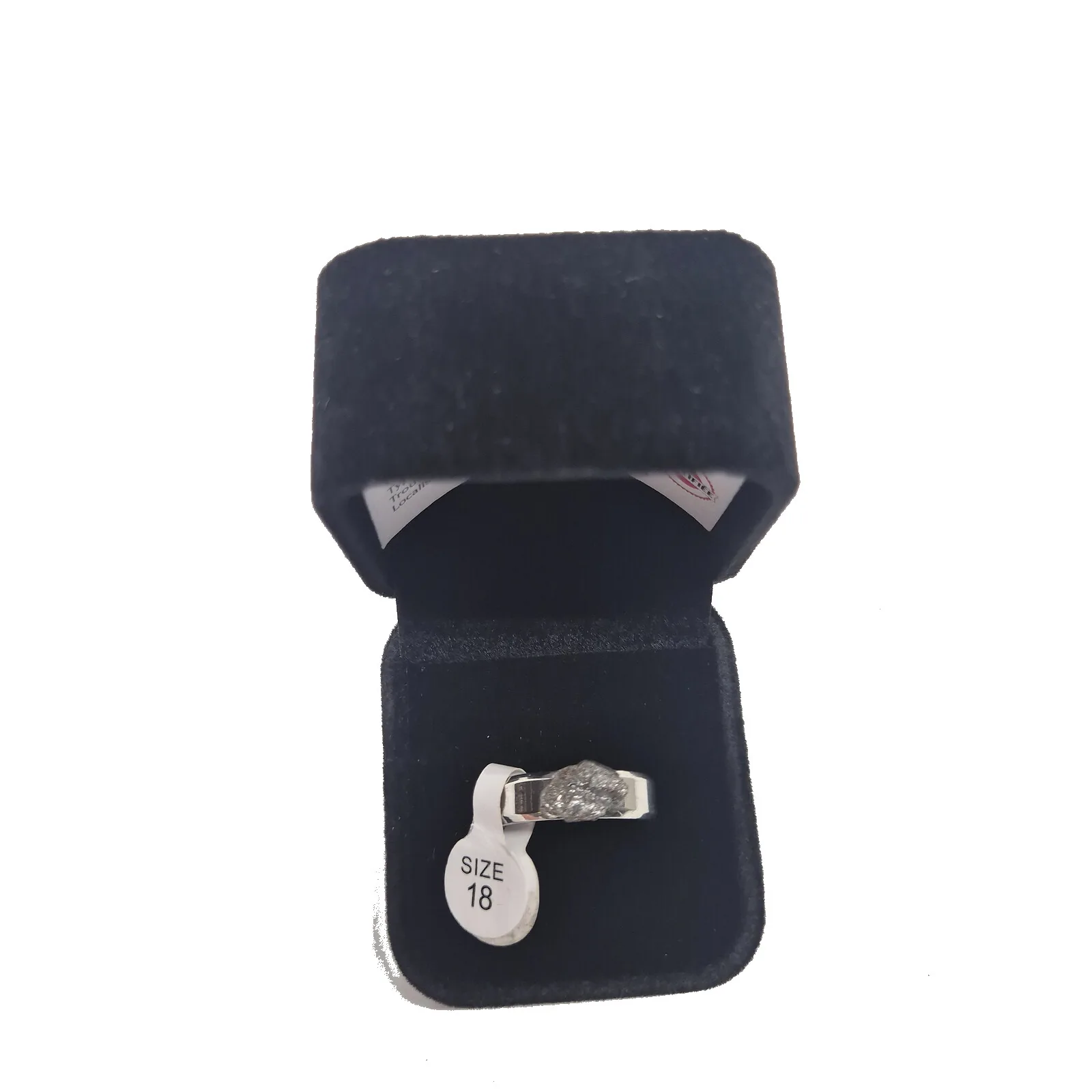 Bague argentée plaque ovale – météorite Aletai, taille 18 – vue 2