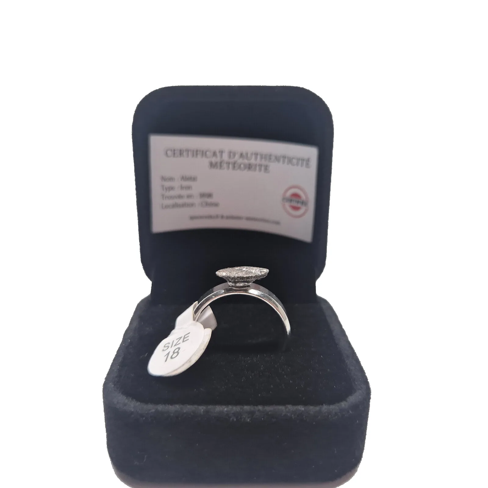 Bague argentée plaque ovale – météorite Aletai, taille 18 – vue 3