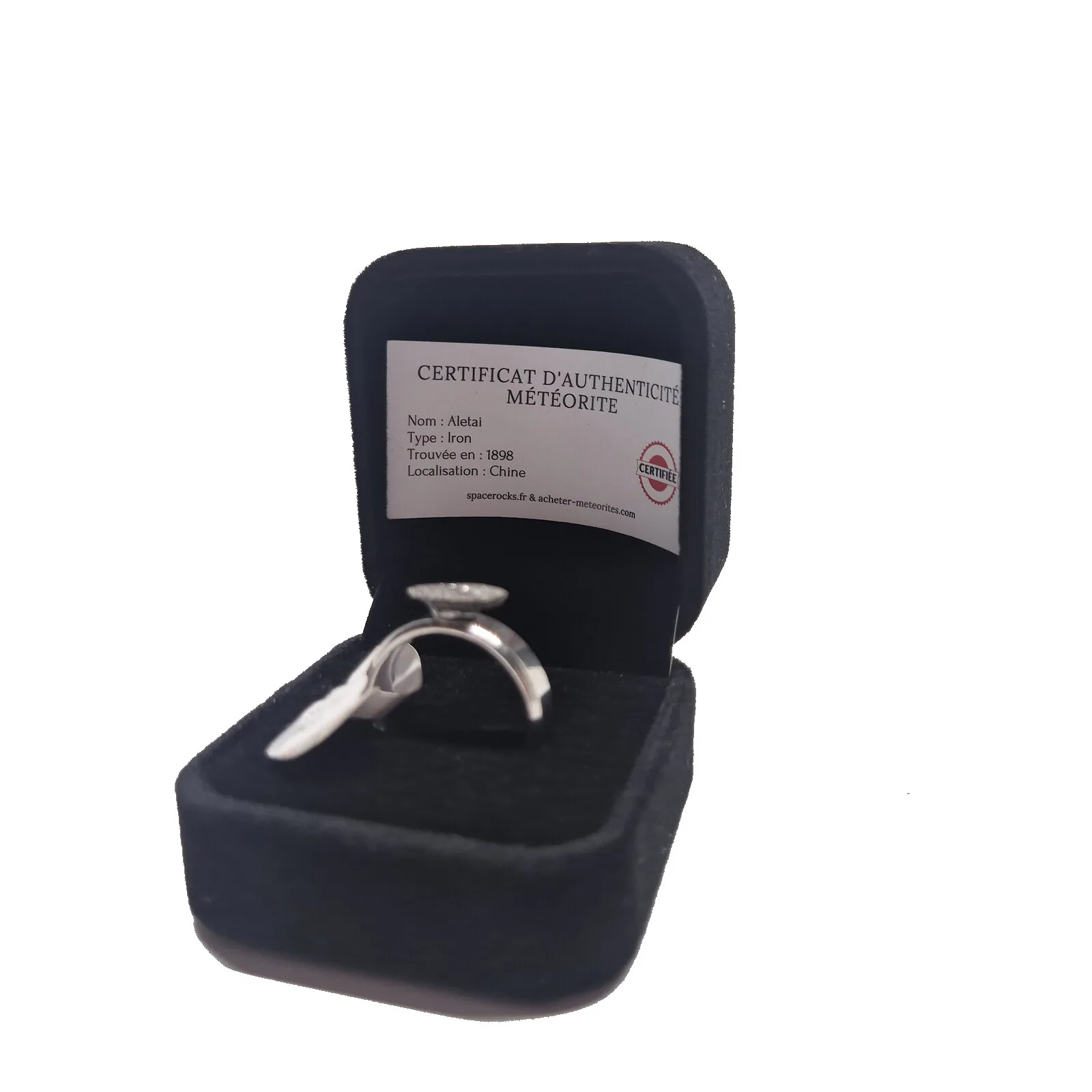 Bague argentée plaque ovale – météorite Aletai, taille 18 – vue 4