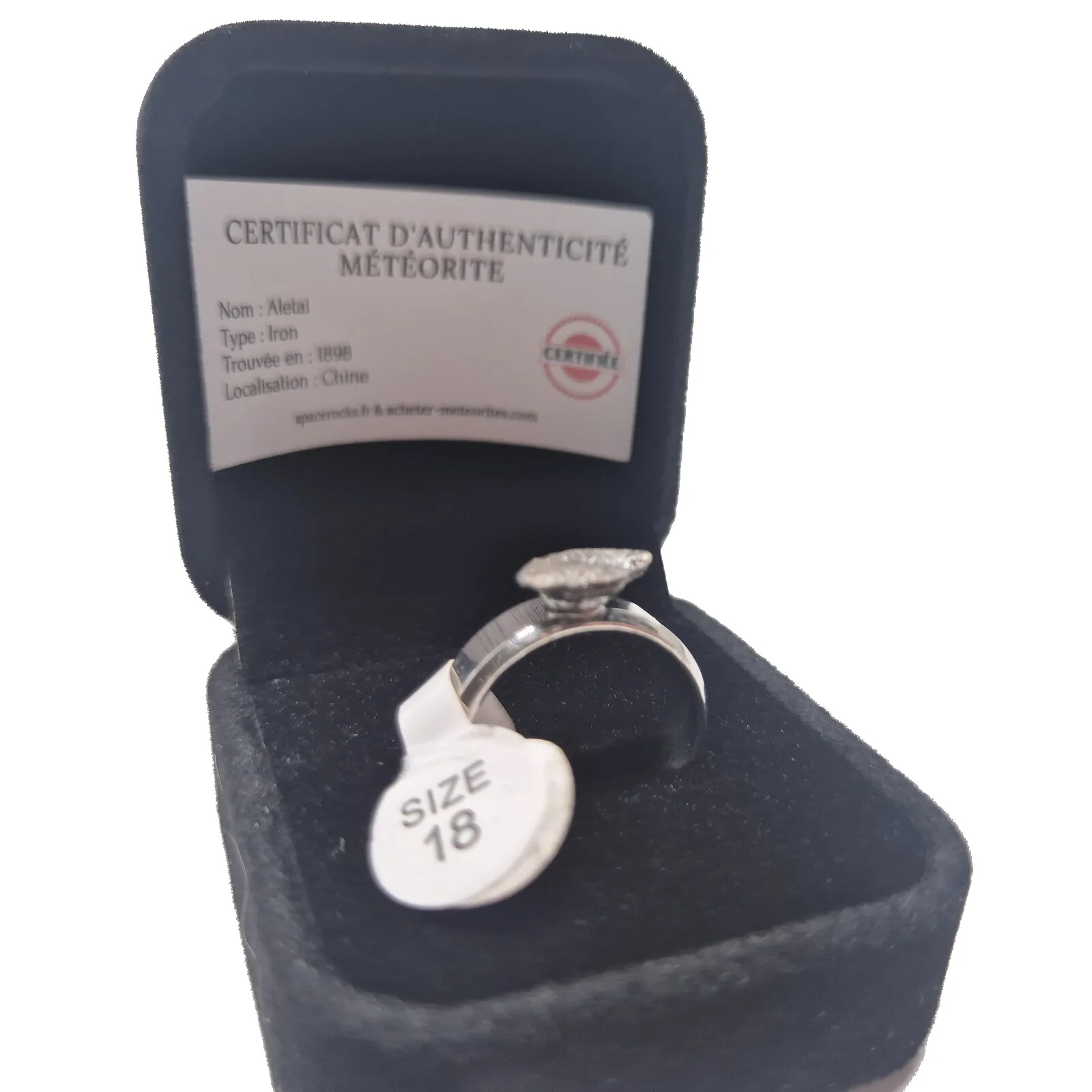 Bague argentée plaque ovale – météorite Aletai, taille 18 – vue 5