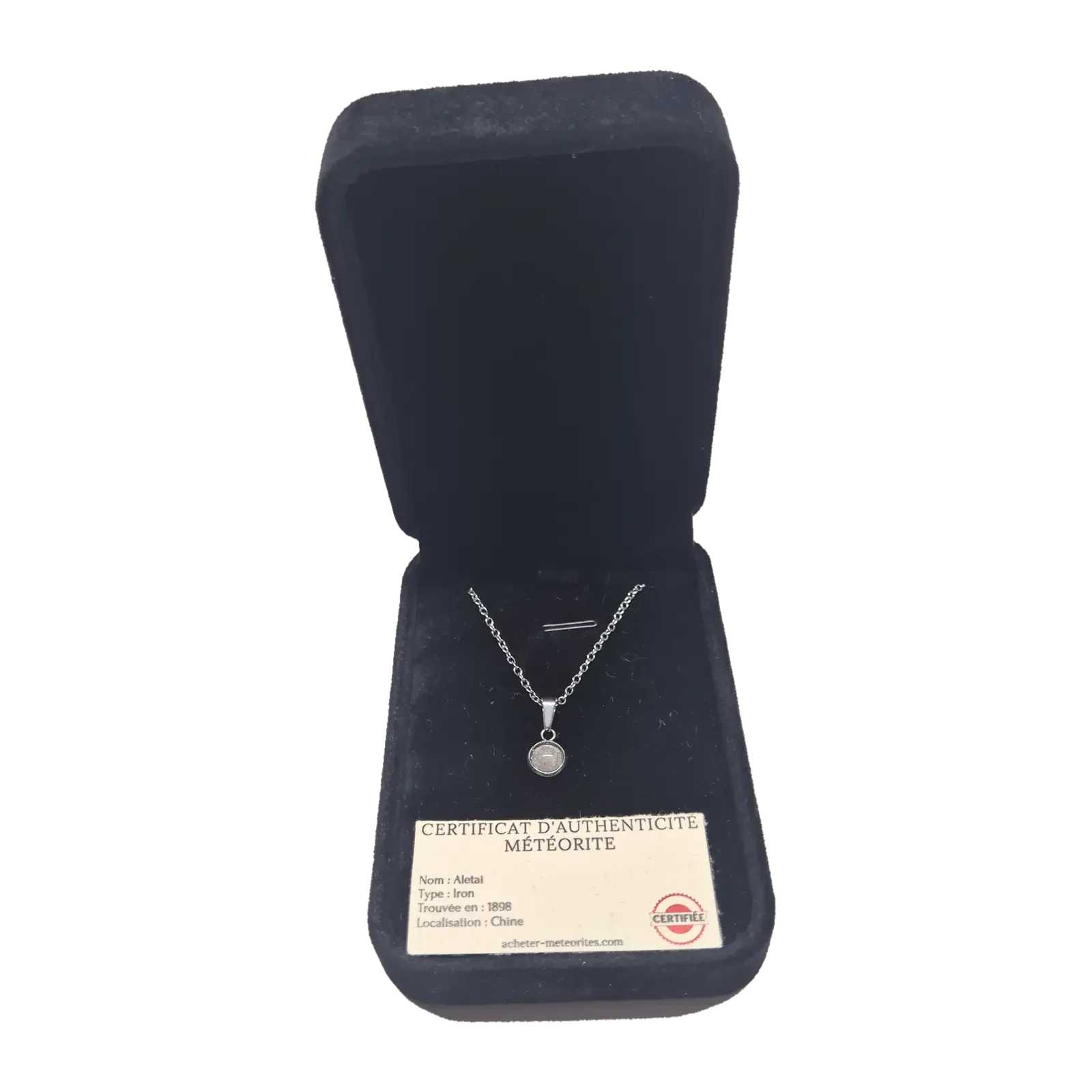 Collier médaillon rond argenté – météorite Aletai