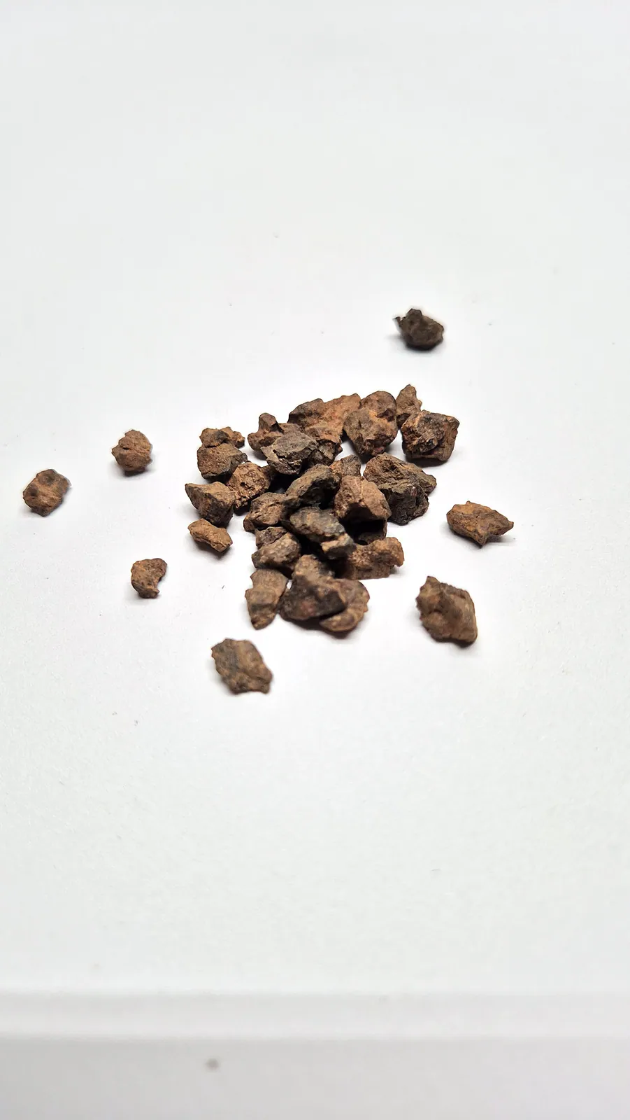 Mésosidérite NWA 14093 – fragments de météorite métal-silicate