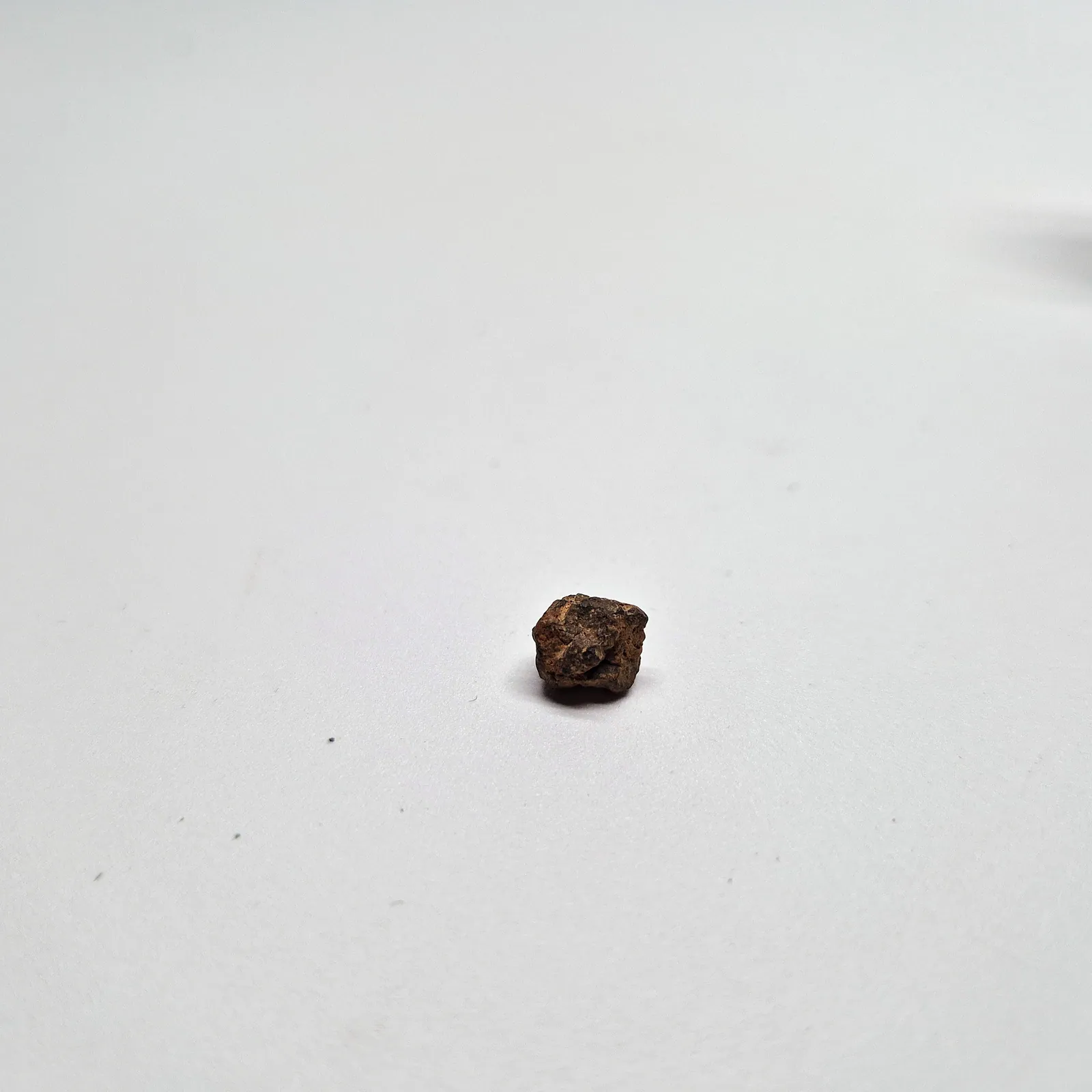 Mésosidérite NWA 14093 – fragments de météorite métal-silicate