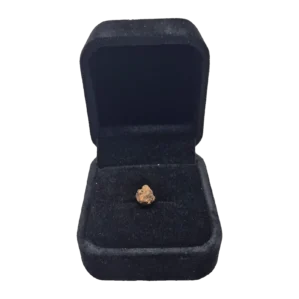Mini mésosidérite NWA 14093 en écrin