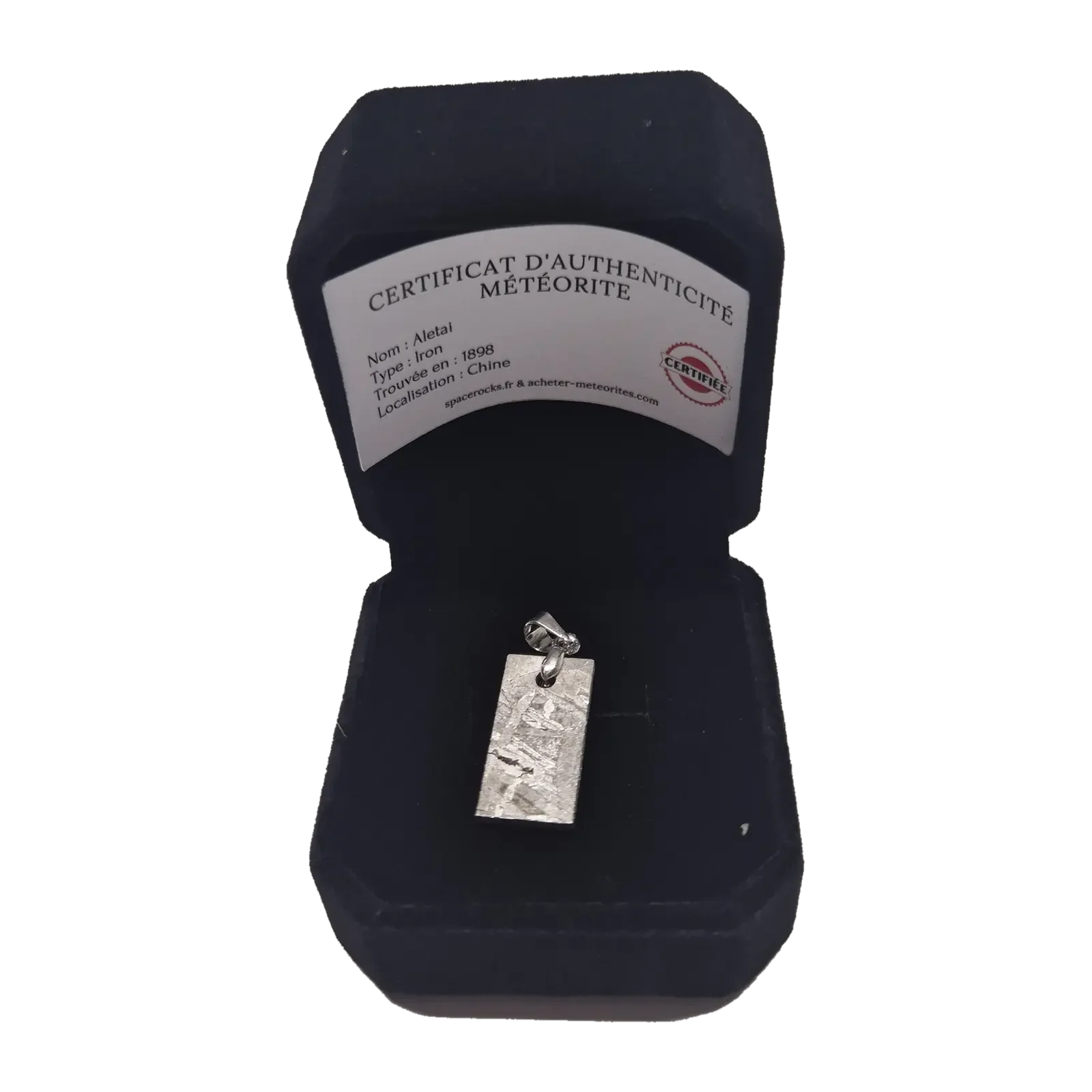Pendentif plaque Aletai Widmanstätten – sans chaîne