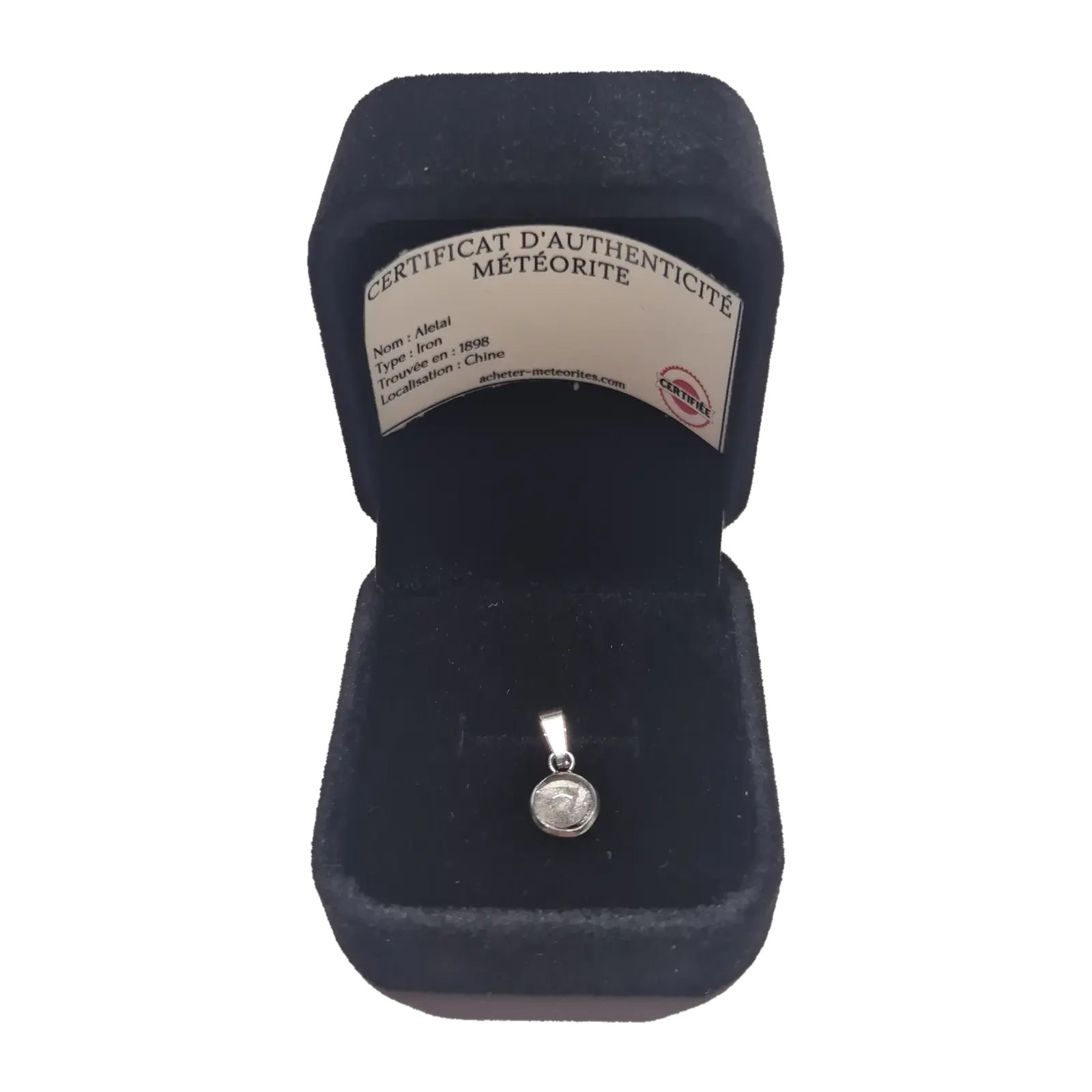 Petit pendentif rond serti – météorite Aletai, sans chaîne