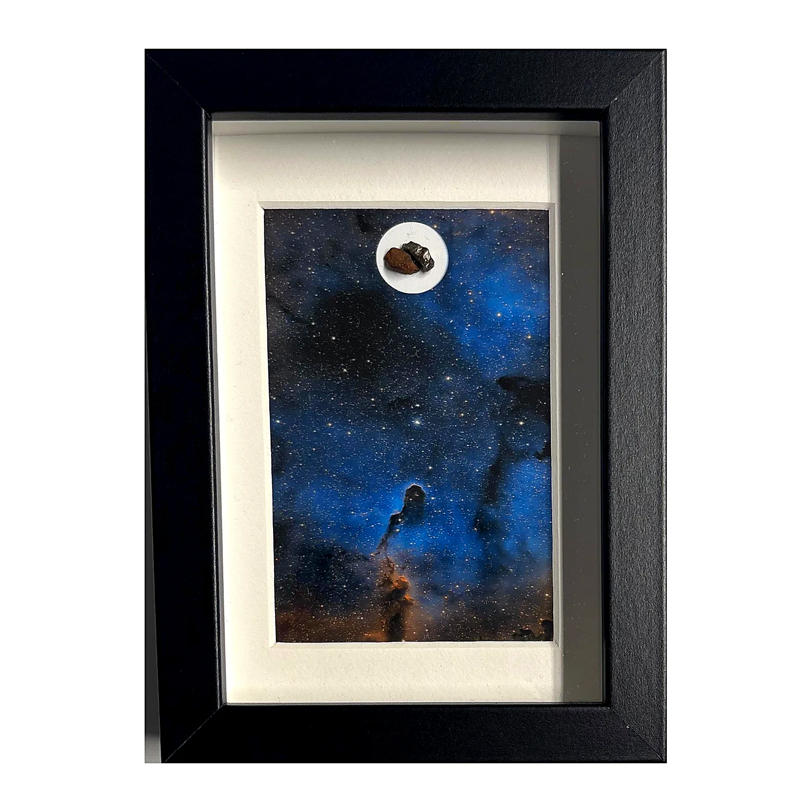 Photo Trompe d'Éléphant encadrée avec météorites Campo del Cielo et Gebel Kamil – cadre noir et passe-partout – vue de face…