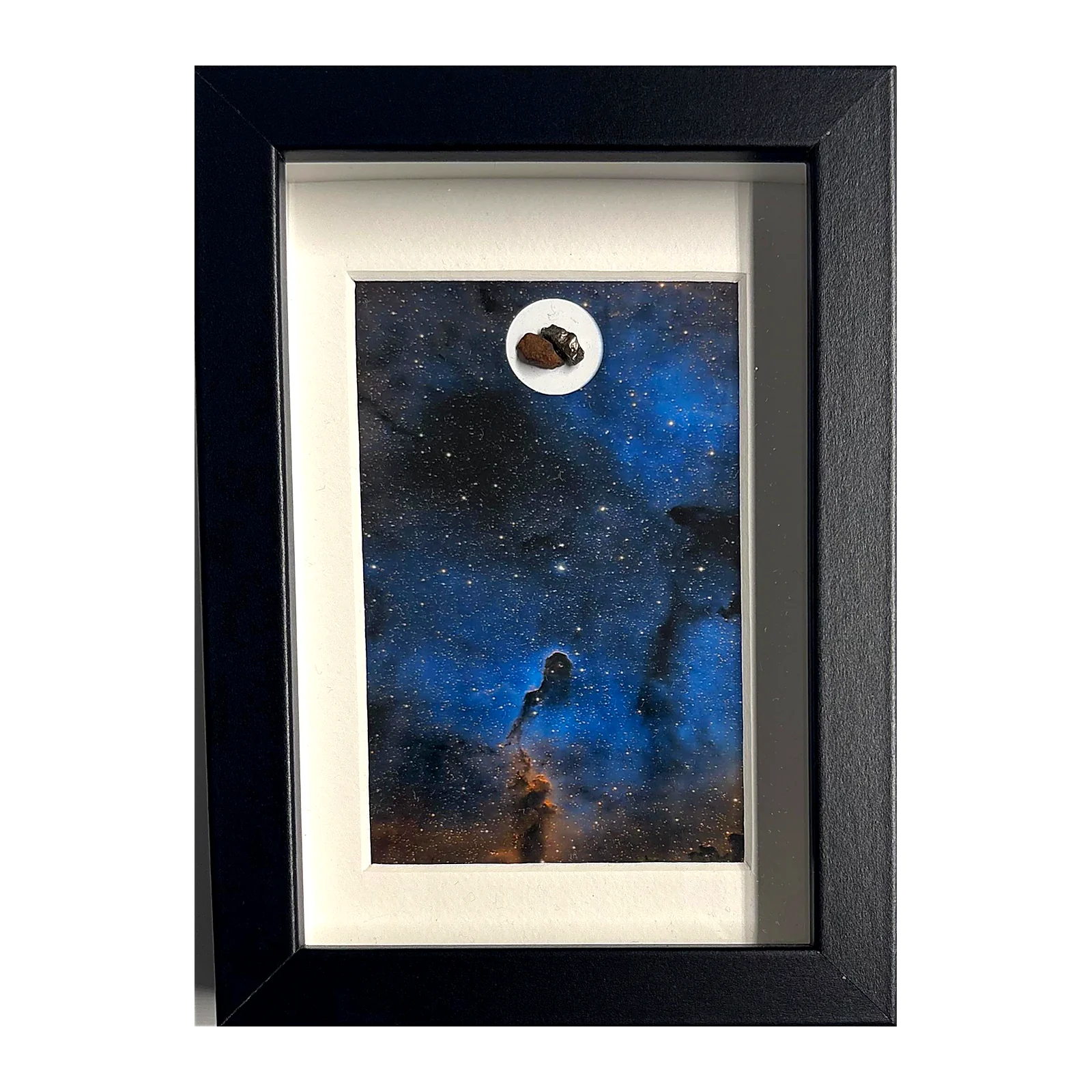 Photo Trompe d'Éléphant encadrée avec météorites Campo del Cielo et Gebel Kamil – cadre noir et passe-partout