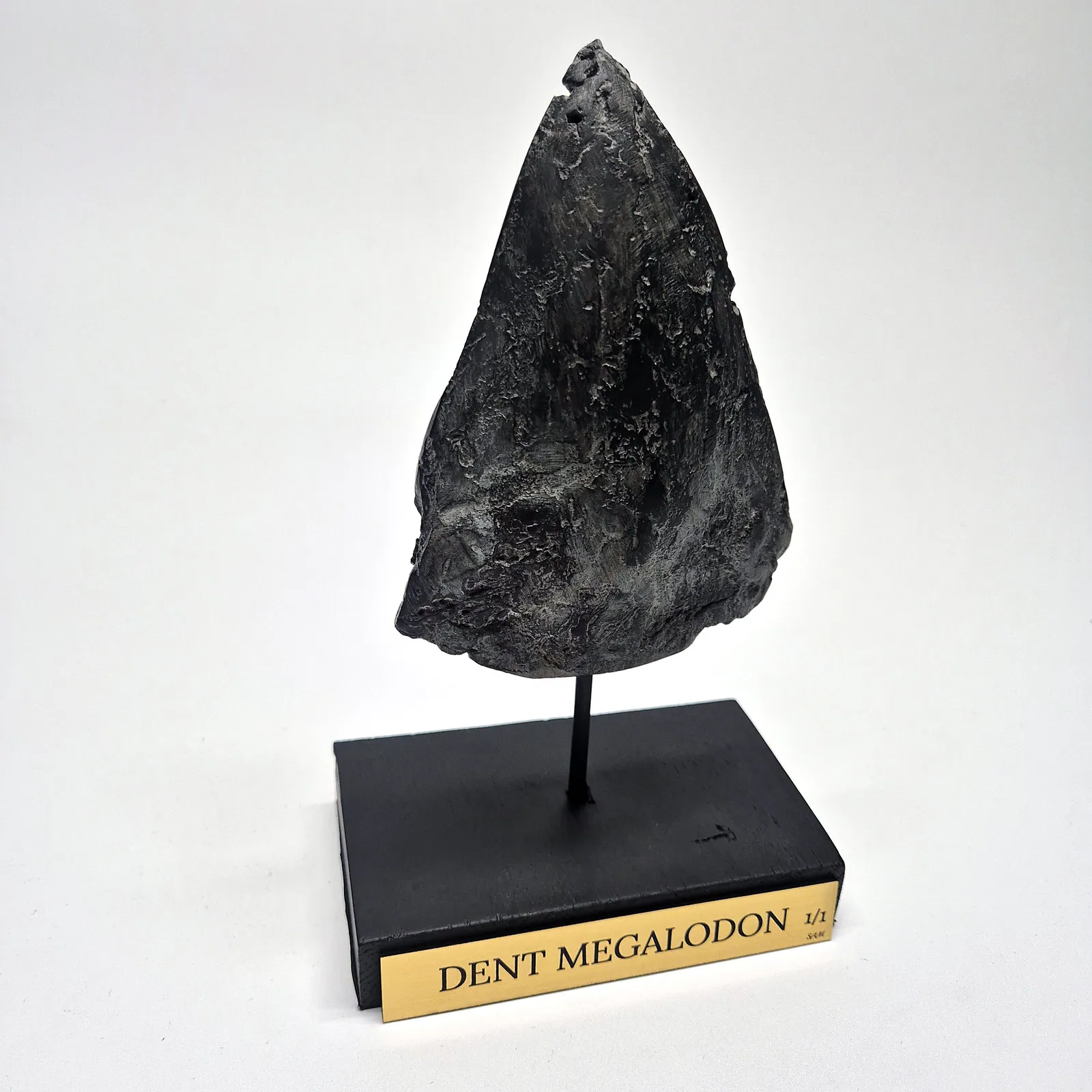 Sculpture en bronze – dent de mégalodon sur socle – vue 2