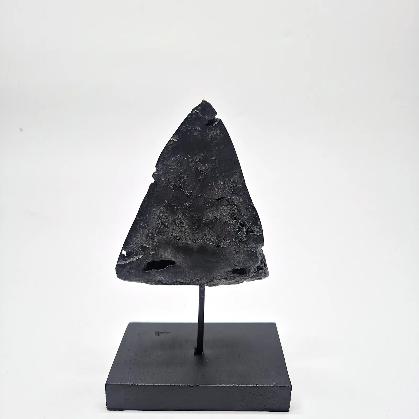 Sculpture en bronze – dent de mégalodon sur socle – vue 4
