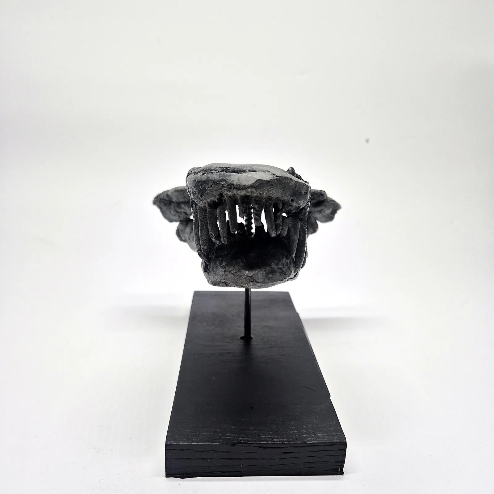 Sculpture en bronze – mâchoire de jeune T-Rex sur socle – vue 9