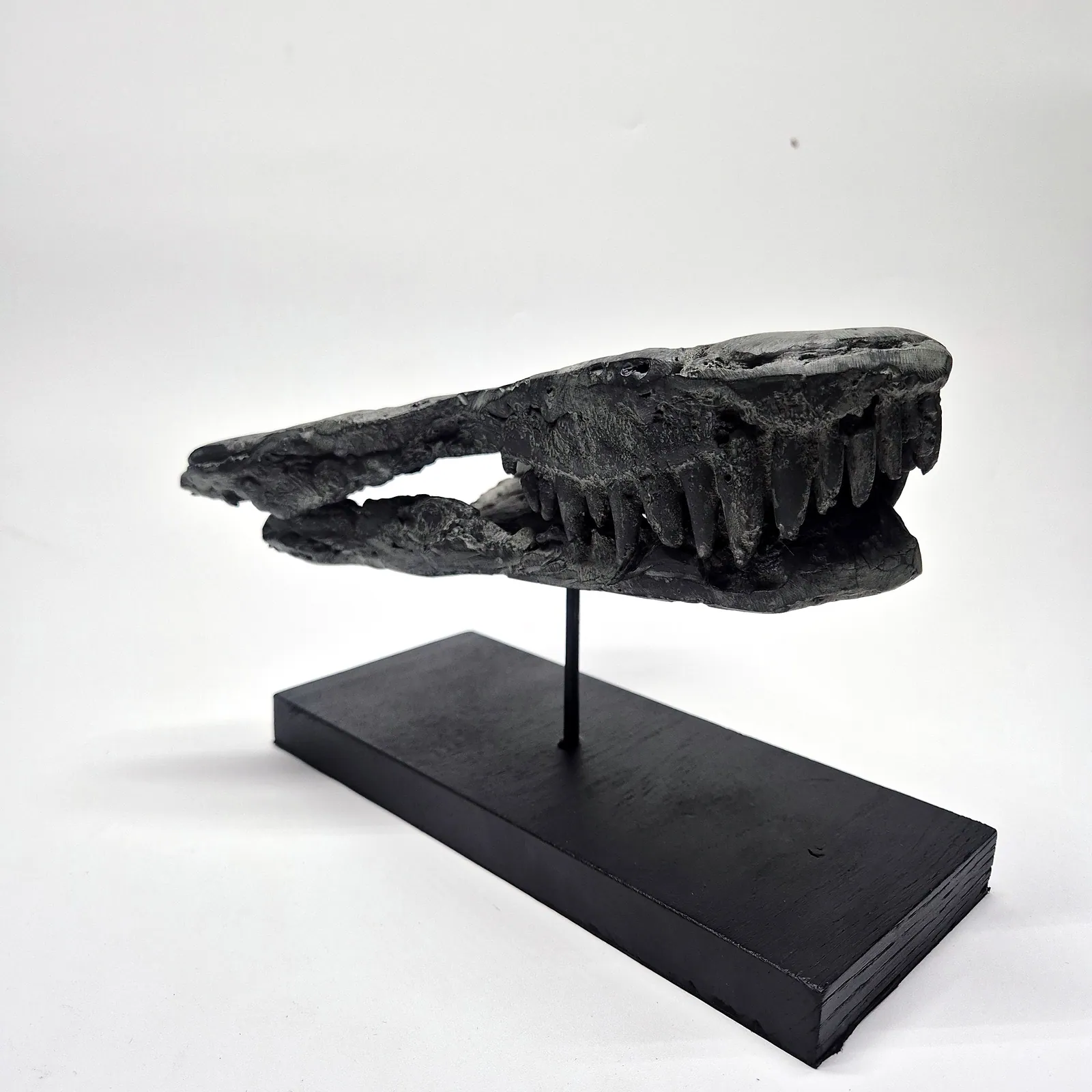 Sculpture en bronze – mâchoire de jeune T-Rex sur socle – vue 5