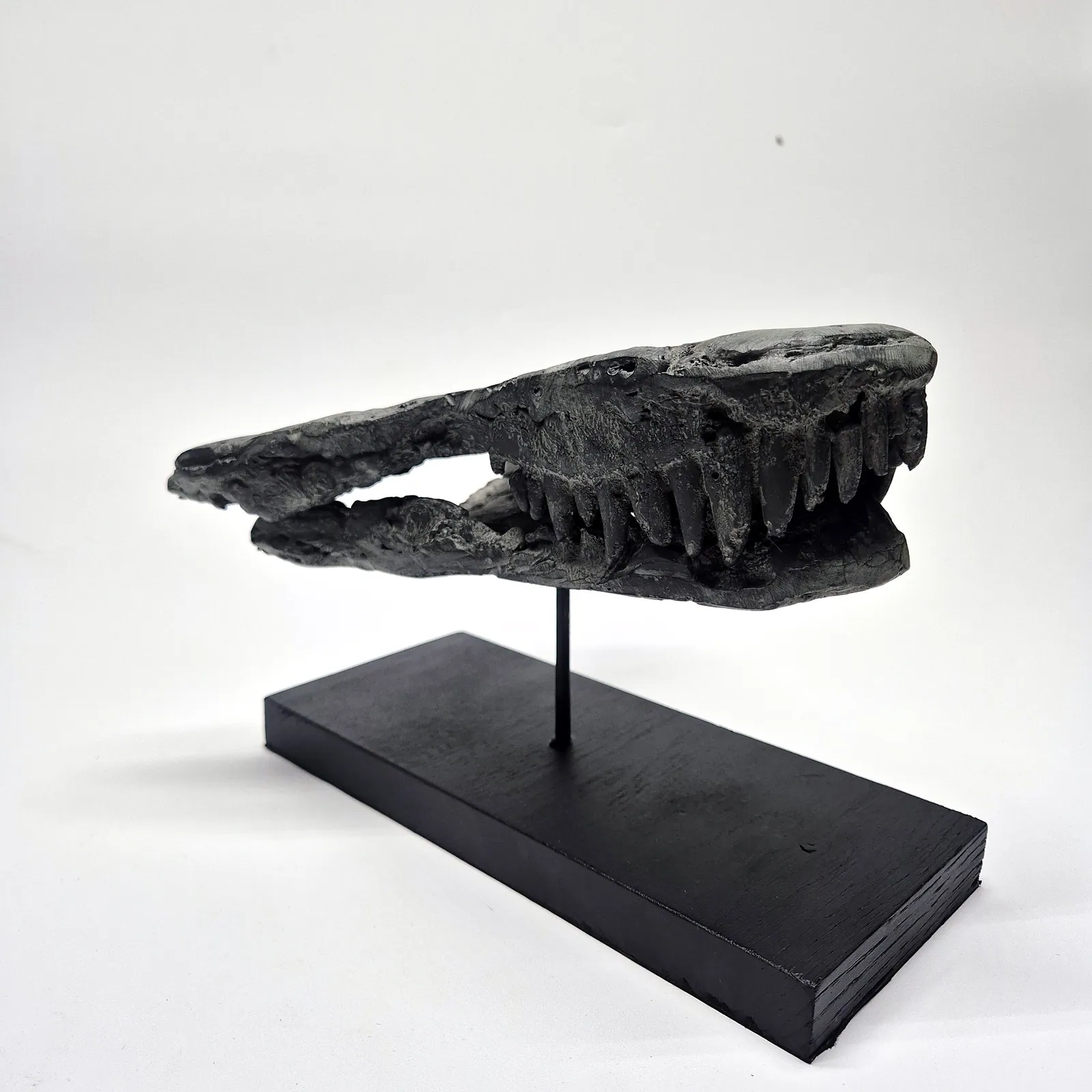 Sculpture en bronze – mâchoire de jeune T-Rex sur socle – vue 6