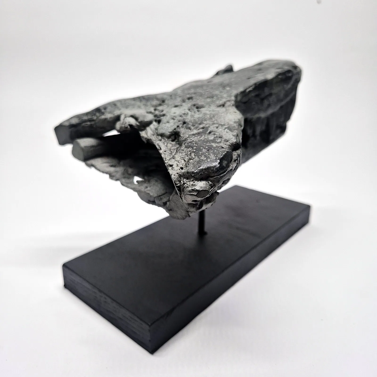 Sculpture en bronze – mâchoire de jeune T-Rex sur socle – vue 8