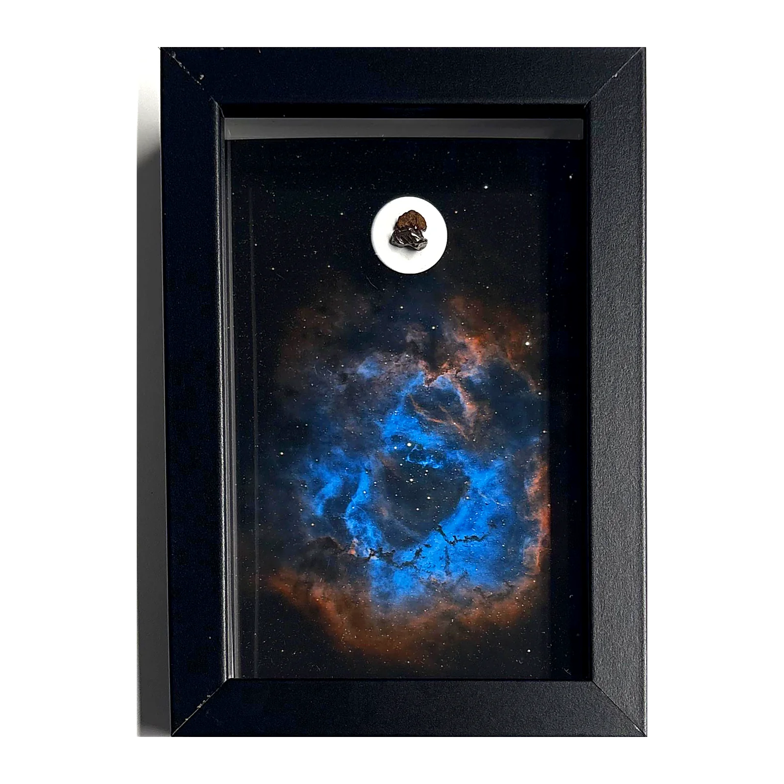 Tableau nébuleuse de la Rosette avec météorites Campo del Cielo et NWA 14093 – cadre profondeur