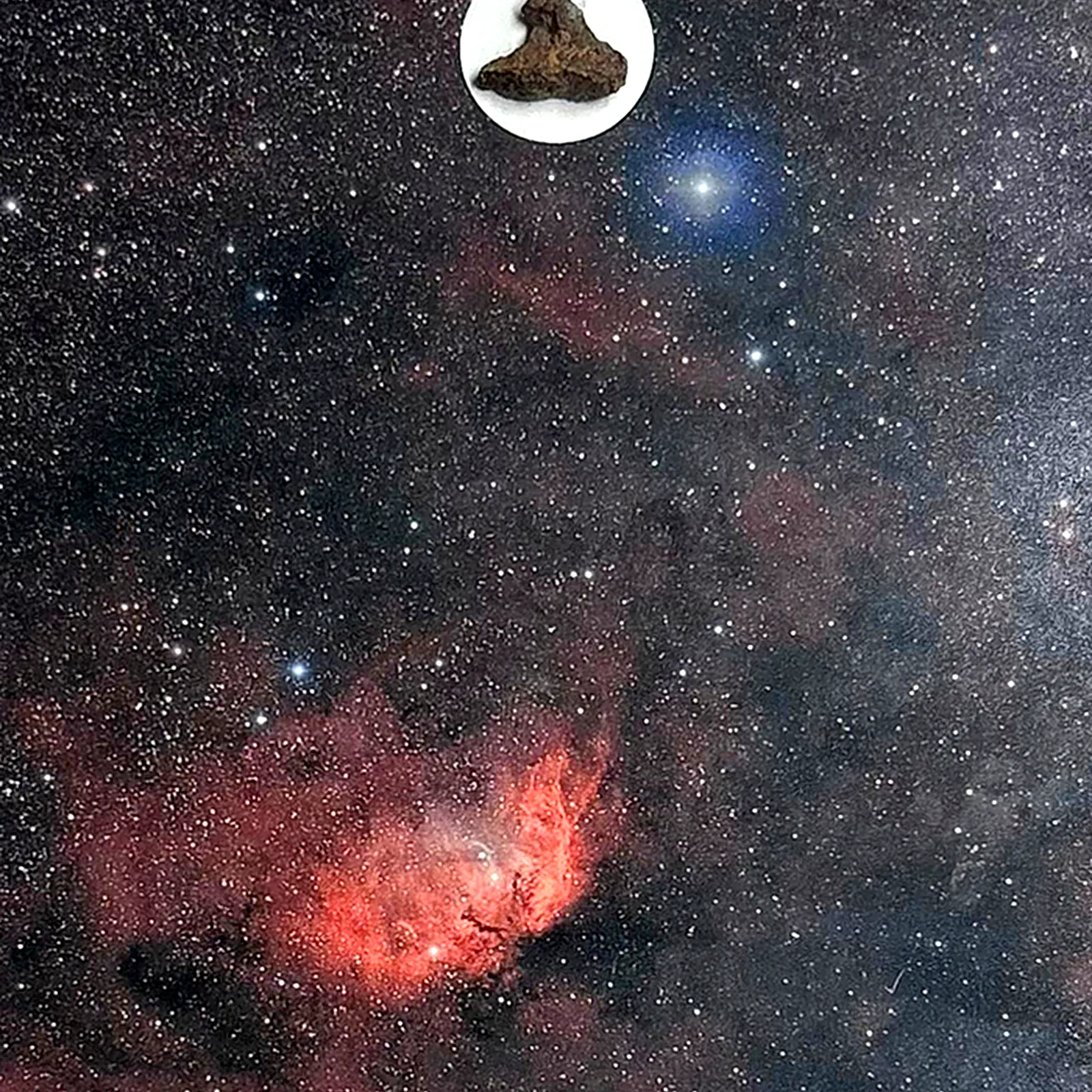 Tableau nébuleuse de la Tulipe avec météorite NWA XXX – grand format 40 × 30 cm – gros plan sur la météorite