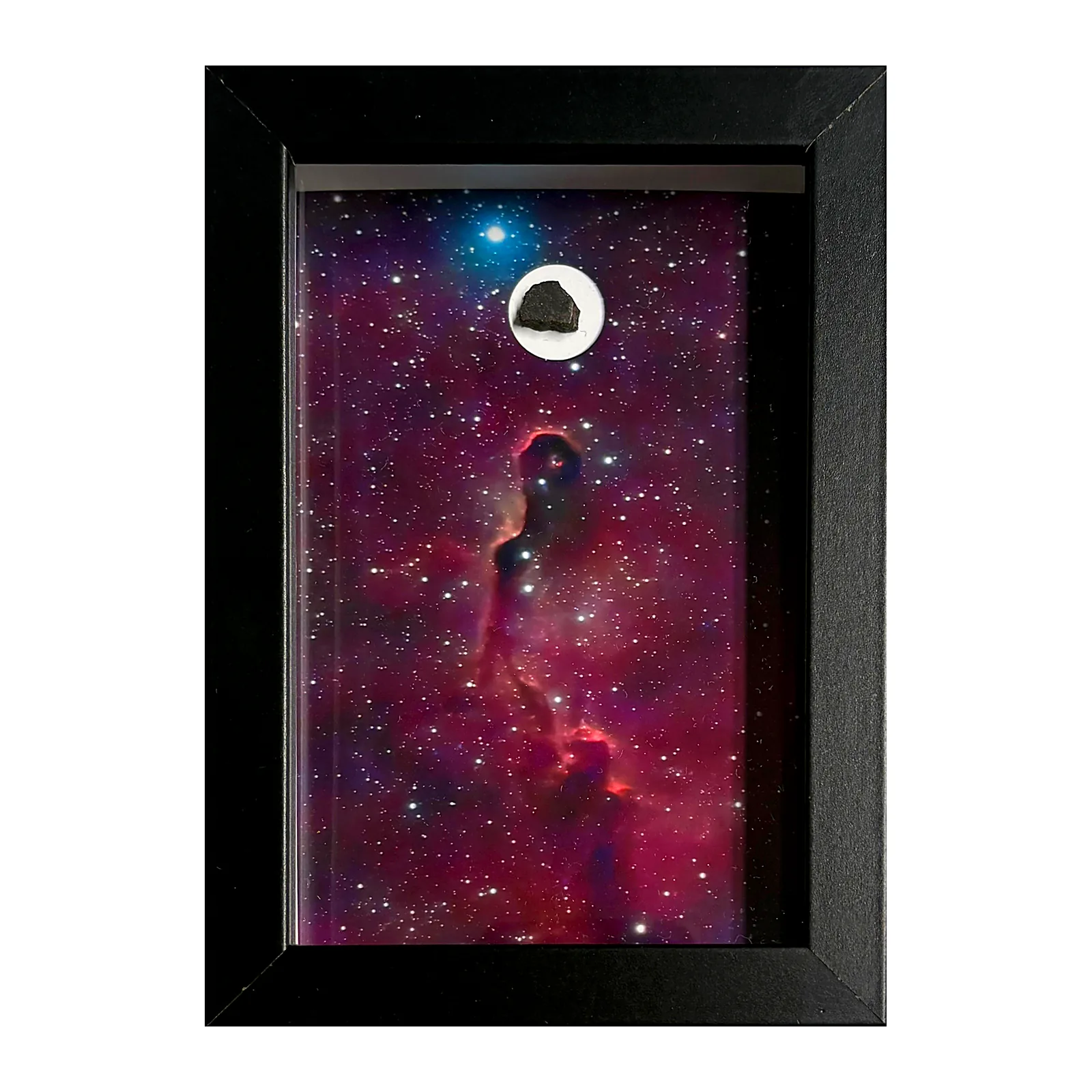 Tableau Trompe d'Éléphant avec météorite NWA 13290 – cadre profondeur – vue de face sur fond blanc